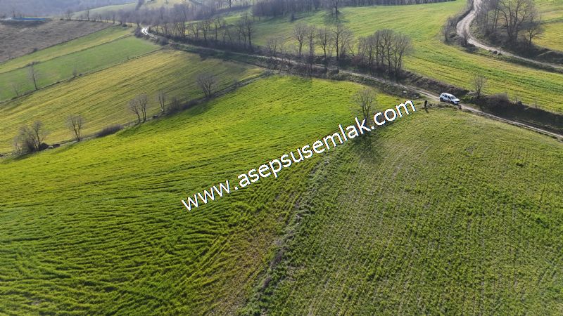 GÖNEN ÇOBANHAMİDİYE’DE ORMAN MANZARALI • ÇİFT KADASTRO YOL CEPHELİ • 15.850 m² SATILIK TARLA