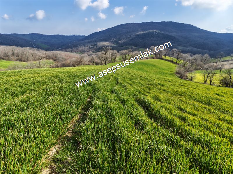 GÖNEN ÇOBANHAMİDİYE’DE ORMAN MANZARALI • ÇİFT KADASTRO YOL CEPHELİ • 15.850 m² SATILIK TARLA