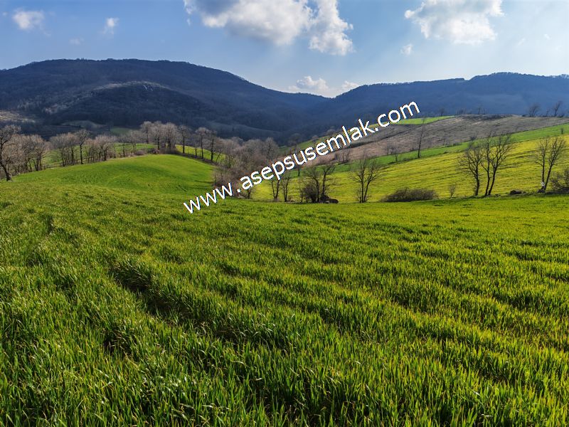 GÖNEN ÇOBANHAMİDİYE’DE ORMAN MANZARALI • ÇİFT KADASTRO YOL CEPHELİ • 15.850 m² SATILIK TARLA