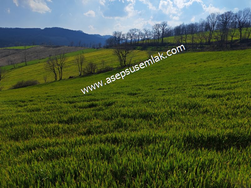 GÖNEN ÇOBANHAMİDİYE’DE ORMAN MANZARALI • ÇİFT KADASTRO YOL CEPHELİ • 15.850 m² SATILIK TARLA