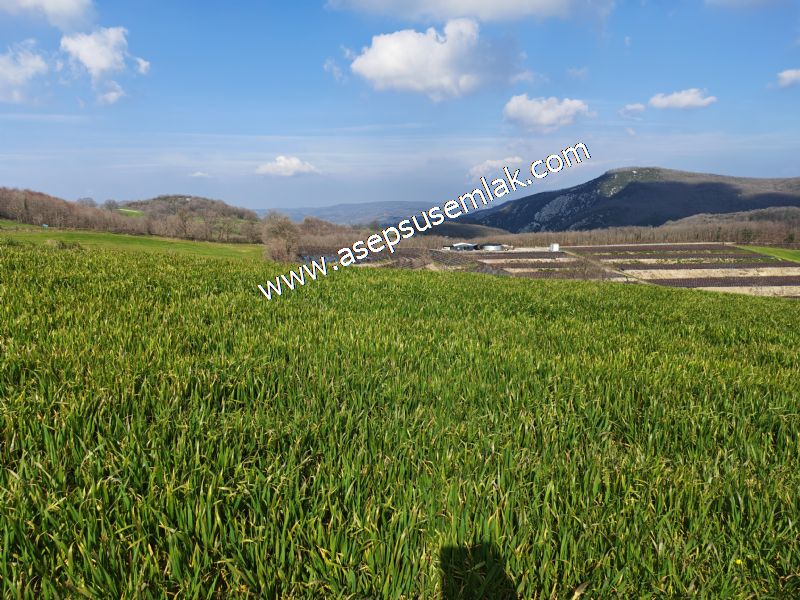 GÖNEN ÇOBANHAMİDİYE’DE ORMAN MANZARALI • ÇİFT KADASTRO YOL CEPHELİ • 15.850 m² SATILIK TARLA