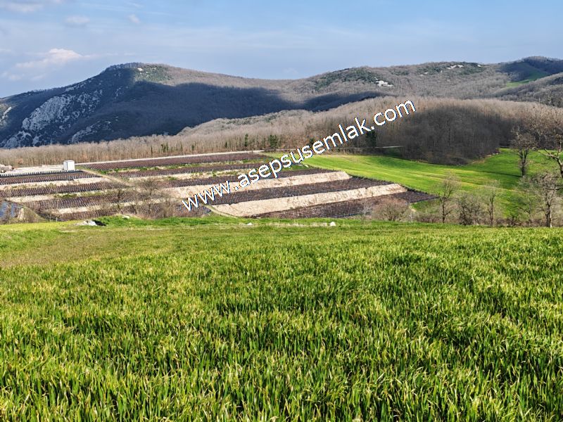 GÖNEN ÇOBANHAMİDİYE’DE ORMAN MANZARALI • ÇİFT KADASTRO YOL CEPHELİ • 15.850 m² SATILIK TARLA