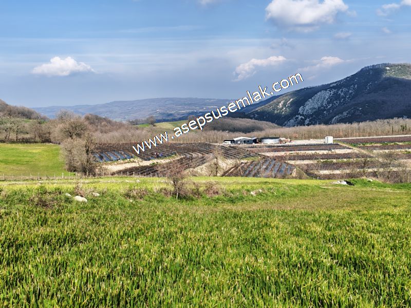 GÖNEN ÇOBANHAMİDİYE’DE ORMAN MANZARALI • ÇİFT KADASTRO YOL CEPHELİ • 15.850 m² SATILIK TARLA