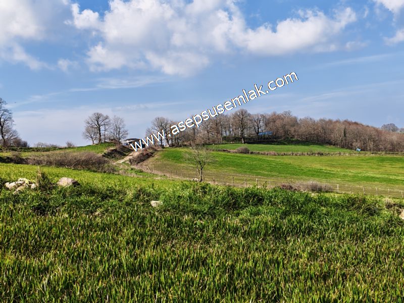 GÖNEN ÇOBANHAMİDİYE’DE ORMAN MANZARALI • ÇİFT KADASTRO YOL CEPHELİ • 15.850 m² SATILIK TARLA