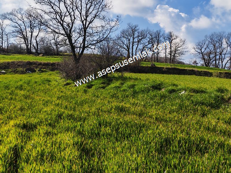 GÖNEN ÇOBANHAMİDİYE’DE ORMAN MANZARALI • ÇİFT KADASTRO YOL CEPHELİ • 15.850 m² SATILIK TARLA