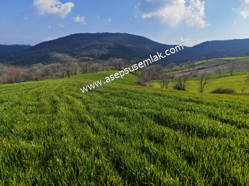 GÖNEN ÇOBANHAMİDİYE’DE ORMAN MANZARALI • ÇİFT KADASTRO YOL CEPHELİ • 15.850 m² SATILIK TARLA