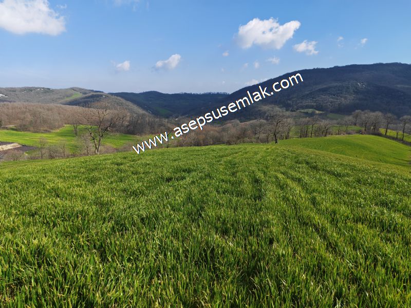 GÖNEN ÇOBANHAMİDİYE’DE ORMAN MANZARALI • ÇİFT KADASTRO YOL CEPHELİ • 15.850 m² SATILIK TARLA