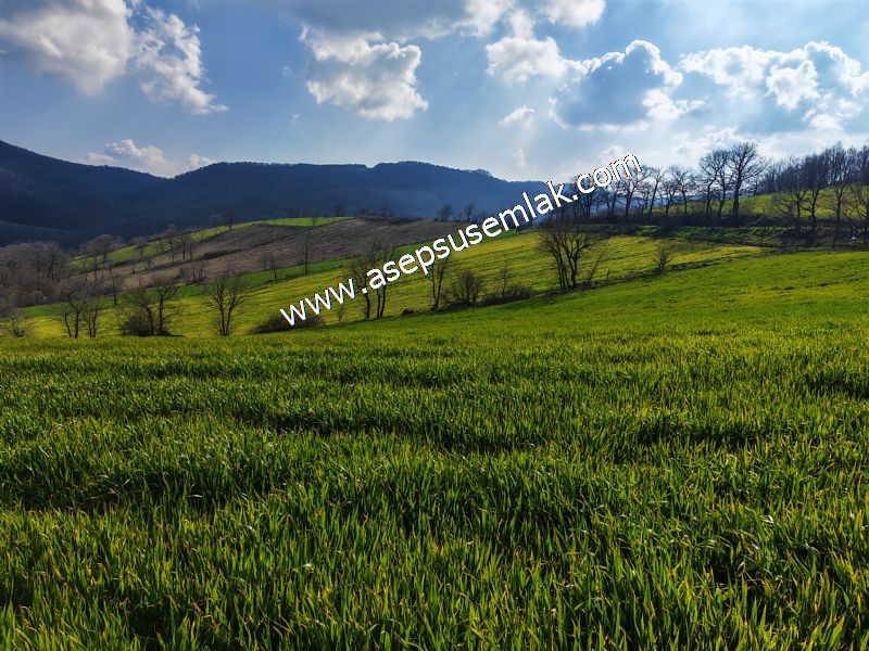 GÖNEN ÇOBANHAMİDİYE’DE ORMAN MANZARALI • ÇİFT KADASTRO YOL CEPHELİ • 15.850 m² SATILIK TARLA