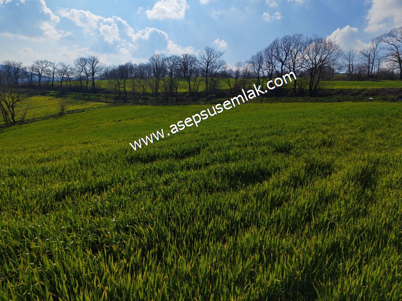 GÖNEN ÇOBANHAMİDİYE’DE ORMAN MANZARALI • ÇİFT KADASTRO YOL CEPHELİ • 15.850 m² SATILIK TARLA