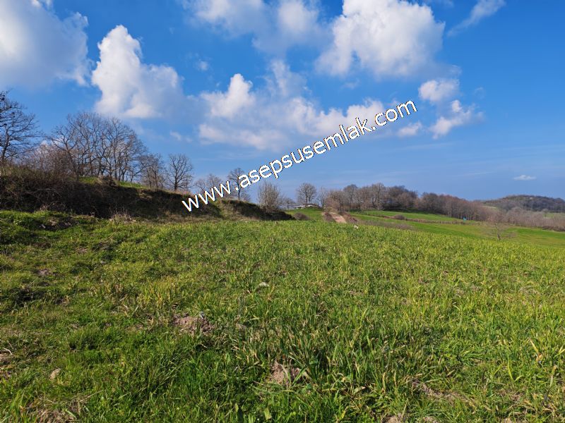 GÖNEN ÇOBANHAMİDİYE’DE ORMAN MANZARALI • ÇİFT KADASTRO YOL CEPHELİ • 15.850 m² SATILIK TARLA