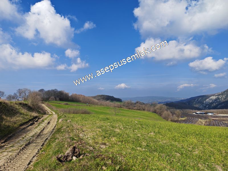 GÖNEN ÇOBANHAMİDİYE’DE ORMAN MANZARALI • ÇİFT KADASTRO YOL CEPHELİ • 15.850 m² SATILIK TARLA