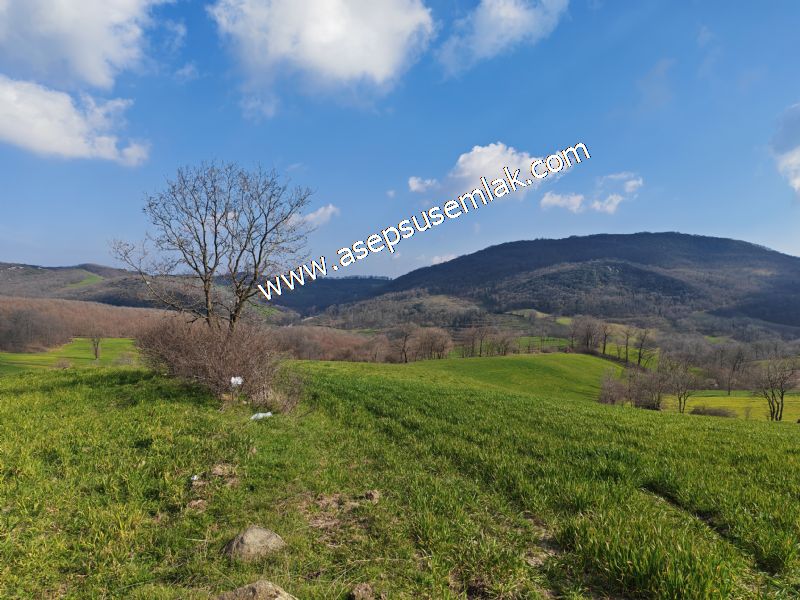 GÖNEN ÇOBANHAMİDİYE’DE ORMAN MANZARALI • ÇİFT KADASTRO YOL CEPHELİ • 15.850 m² SATILIK TARLA