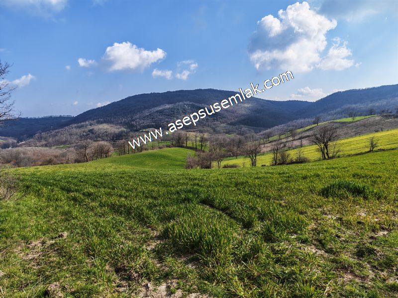 GÖNEN ÇOBANHAMİDİYE’DE ORMAN MANZARALI • ÇİFT KADASTRO YOL CEPHELİ • 15.850 m² SATILIK TARLA