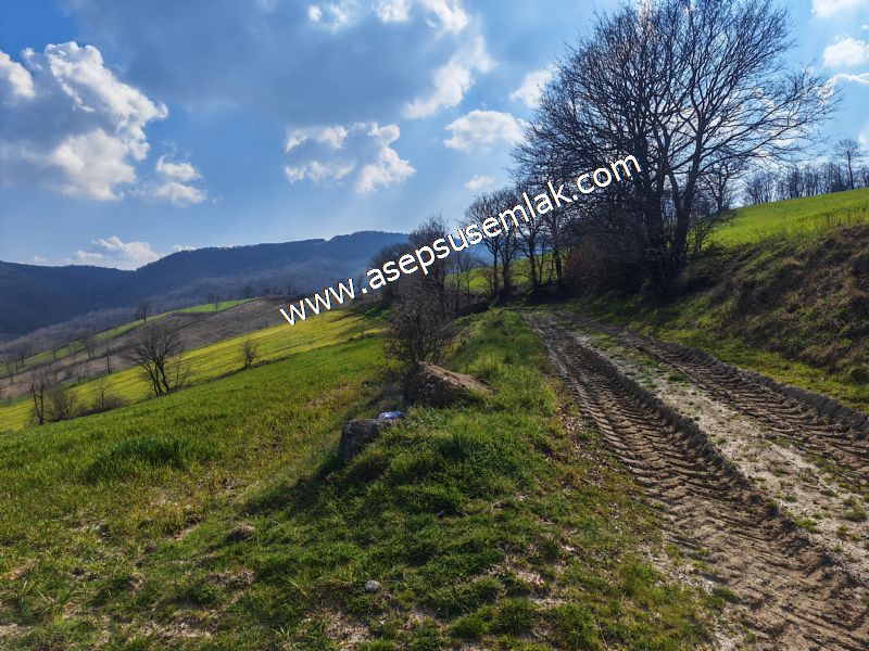 GÖNEN ÇOBANHAMİDİYE’DE ORMAN MANZARALI • ÇİFT KADASTRO YOL CEPHELİ • 15.850 m² SATILIK TARLA