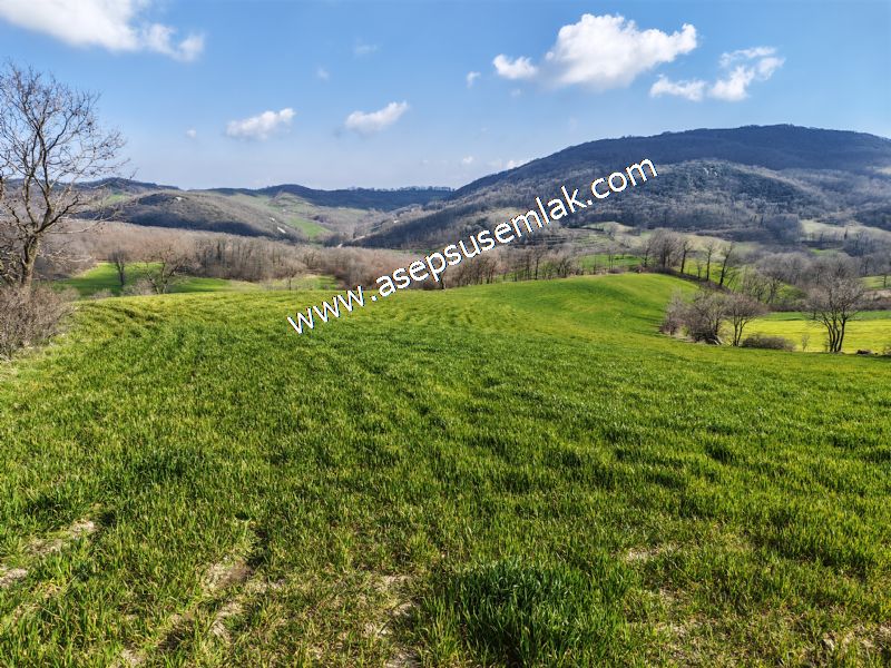 GÖNEN ÇOBANHAMİDİYE’DE ORMAN MANZARALI • ÇİFT KADASTRO YOL CEPHELİ • 15.850 m² SATILIK TARLA