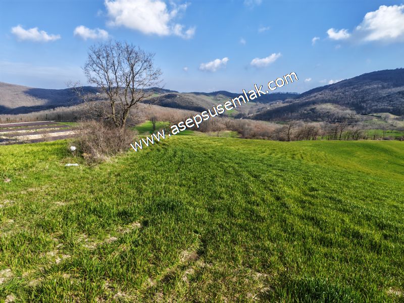 GÖNEN ÇOBANHAMİDİYE’DE ORMAN MANZARALI • ÇİFT KADASTRO YOL CEPHELİ • 15.850 m² SATILIK TARLA