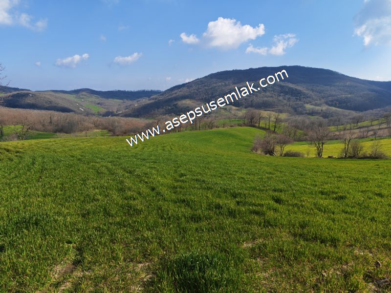 GÖNEN ÇOBANHAMİDİYE’DE ORMAN MANZARALI • ÇİFT KADASTRO YOL CEPHELİ • 15.850 m² SATILIK TARLA