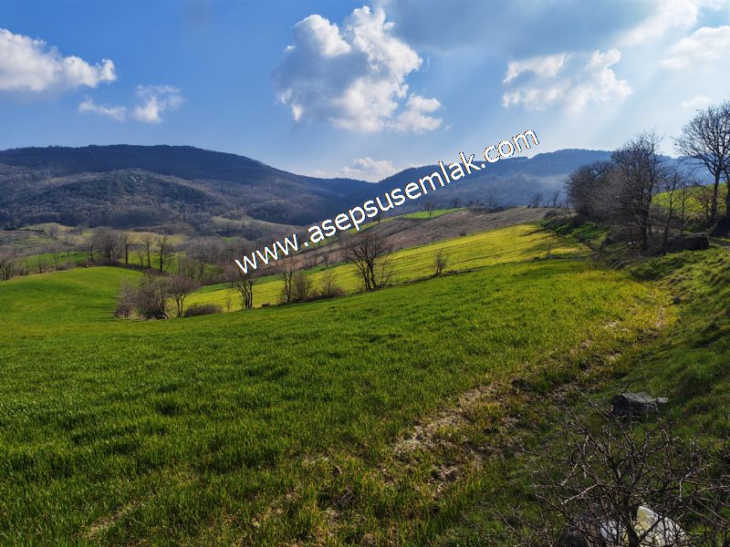 GÖNEN ÇOBANHAMİDİYE’DE ORMAN MANZARALI • ÇİFT KADASTRO YOL CEPHELİ • 15.850 m² SATILIK TARLA