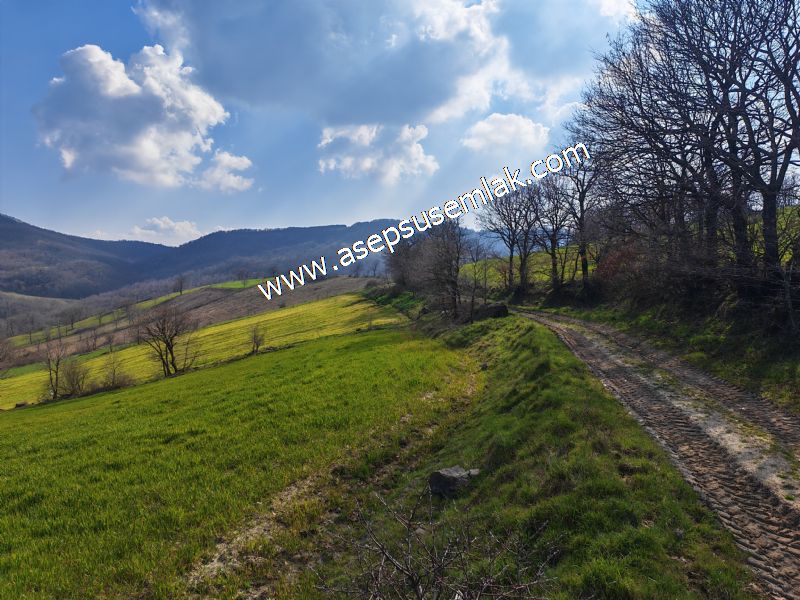 GÖNEN ÇOBANHAMİDİYE’DE ORMAN MANZARALI • ÇİFT KADASTRO YOL CEPHELİ • 15.850 m² SATILIK TARLA