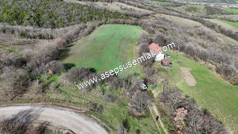 7.700 m2 Çiftlik, Bağ-Bahçe, Hobi Bahçe, Kadastro Yola Cepheli