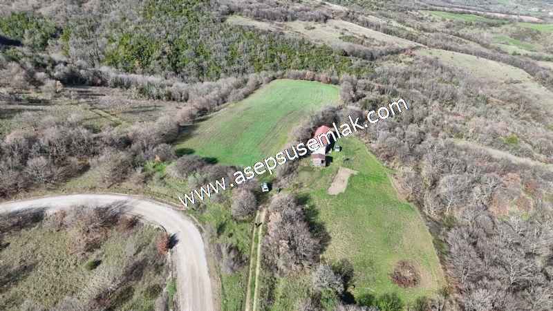 7.700 m2 Çiftlik, Bağ-Bahçe, Hobi Bahçe, Kadastro Yola Cepheli