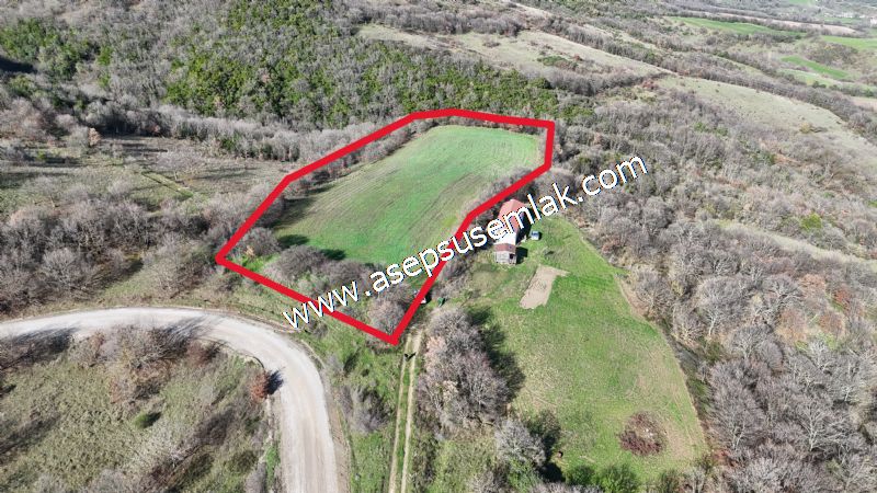 7.700 m2 Çiftlik, Bağ-Bahçe, Hobi Bahçe, Kadastro Yola Cepheli