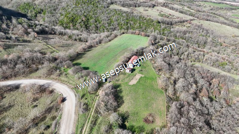 7.700 m2 Çiftlik, Bağ-Bahçe, Hobi Bahçe, Kadastro Yola Cepheli