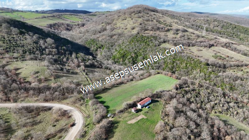 7.700 m2 Çiftlik, Bağ-Bahçe, Hobi Bahçe, Kadastro Yola Cepheli