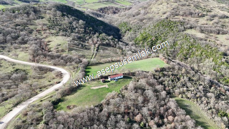 7.700 m2 Çiftlik, Bağ-Bahçe, Hobi Bahçe, Kadastro Yola Cepheli