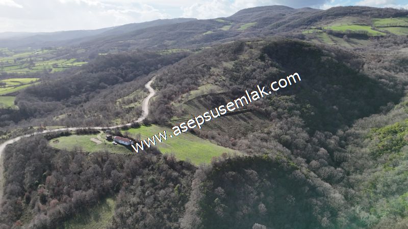 7.700 m2 Çiftlik, Bağ-Bahçe, Hobi Bahçe, Kadastro Yola Cepheli