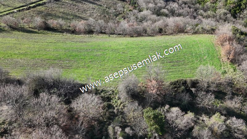 7.700 m2 Çiftlik, Bağ-Bahçe, Hobi Bahçe, Kadastro Yola Cepheli