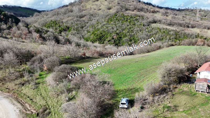 7.700 m2 Çiftlik, Bağ-Bahçe, Hobi Bahçe, Kadastro Yola Cepheli