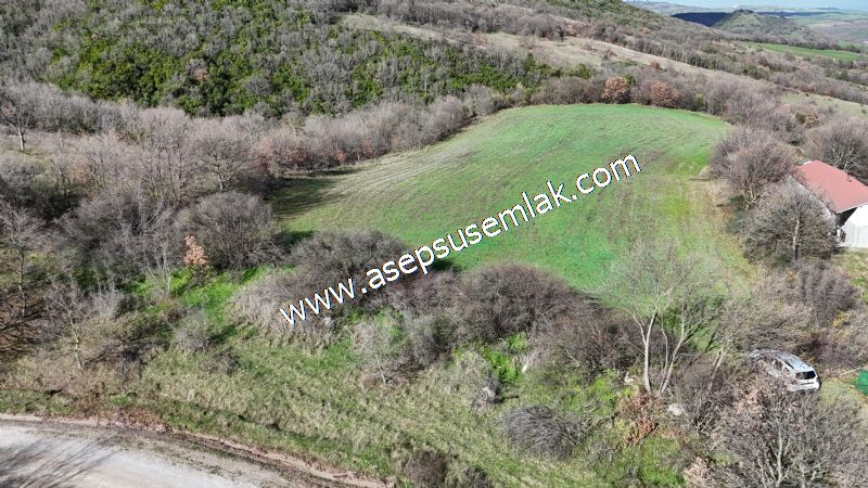 7.700 m2 Çiftlik, Bağ-Bahçe, Hobi Bahçe, Kadastro Yola Cepheli