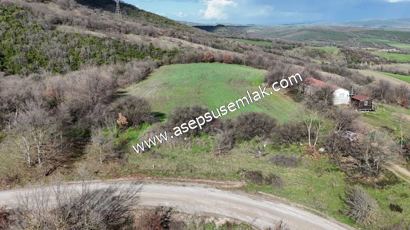 7.700 m2 Çiftlik, Bağ-Bahçe, Hobi Bahçe, Kadastro Yola Cepheli