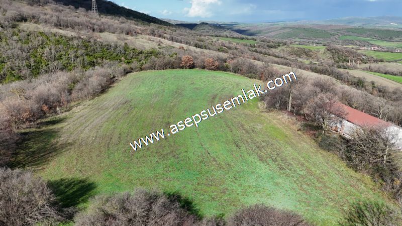 7.700 m2 Çiftlik, Bağ-Bahçe, Hobi Bahçe, Kadastro Yola Cepheli