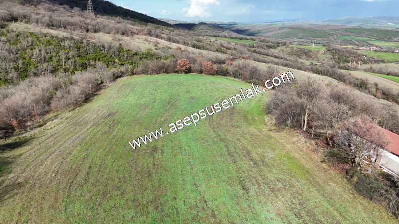 7.700 m2 Çiftlik, Bağ-Bahçe, Hobi Bahçe, Kadastro Yola Cepheli