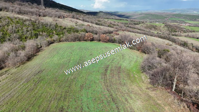 7.700 m2 Çiftlik, Bağ-Bahçe, Hobi Bahçe, Kadastro Yola Cepheli