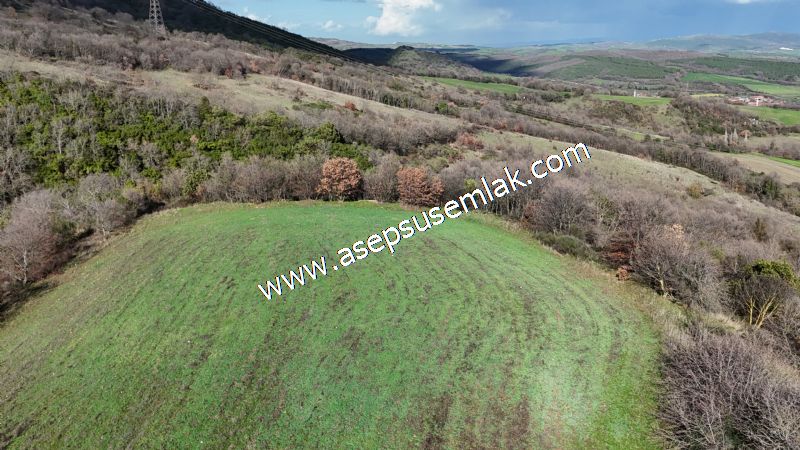7.700 m2 Çiftlik, Bağ-Bahçe, Hobi Bahçe, Kadastro Yola Cepheli