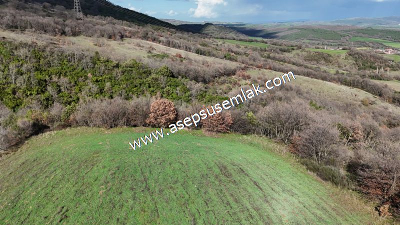 7.700 m2 Çiftlik, Bağ-Bahçe, Hobi Bahçe, Kadastro Yola Cepheli