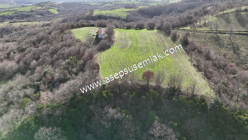 7.700 m2 Çiftlik, Bağ-Bahçe, Hobi Bahçe, Kadastro Yola Cepheli