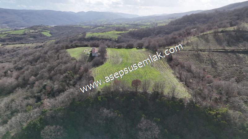 7.700 m2 Çiftlik, Bağ-Bahçe, Hobi Bahçe, Kadastro Yola Cepheli