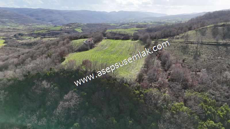 7.700 m2 Çiftlik, Bağ-Bahçe, Hobi Bahçe, Kadastro Yola Cepheli