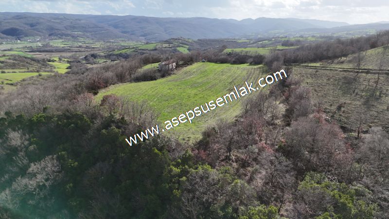 7.700 m2 Çiftlik, Bağ-Bahçe, Hobi Bahçe, Kadastro Yola Cepheli