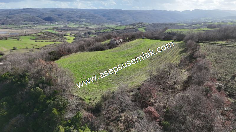 7.700 m2 Çiftlik, Bağ-Bahçe, Hobi Bahçe, Kadastro Yola Cepheli
