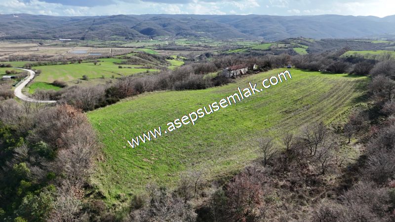 7.700 m2 Çiftlik, Bağ-Bahçe, Hobi Bahçe, Kadastro Yola Cepheli