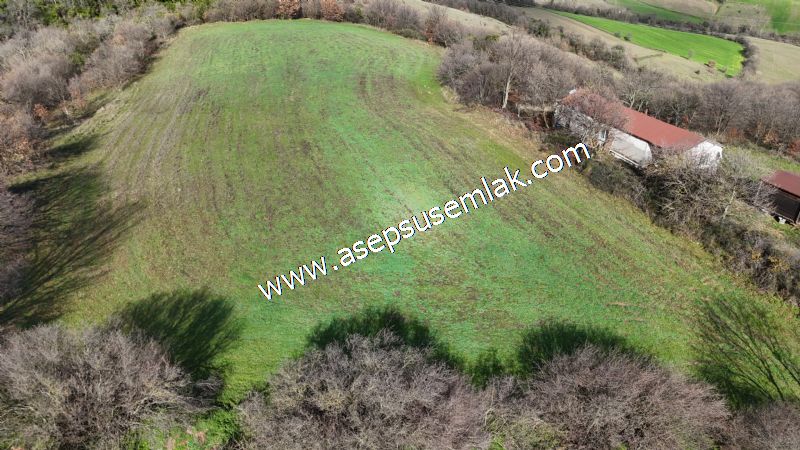 7.700 m2 Çiftlik, Bağ-Bahçe, Hobi Bahçe, Kadastro Yola Cepheli