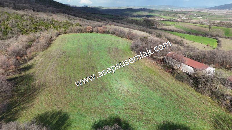 7.700 m2 Çiftlik, Bağ-Bahçe, Hobi Bahçe, Kadastro Yola Cepheli