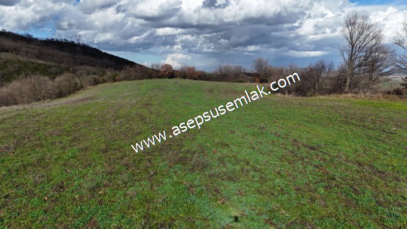 7.700 m2 Çiftlik, Bağ-Bahçe, Hobi Bahçe, Kadastro Yola Cepheli