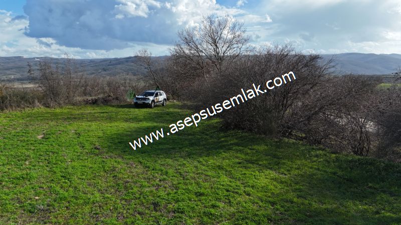 7.700 m2 Çiftlik, Bağ-Bahçe, Hobi Bahçe, Kadastro Yola Cepheli