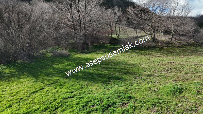 7.700 m2 Çiftlik, Bağ-Bahçe, Hobi Bahçe, Kadastro Yola Cepheli
